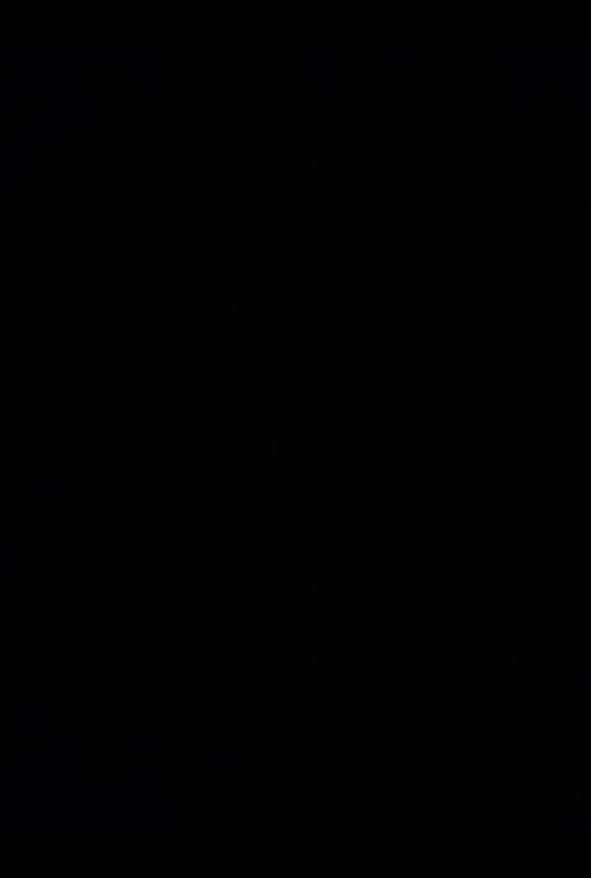 Melitta Pyramide filter 202 S